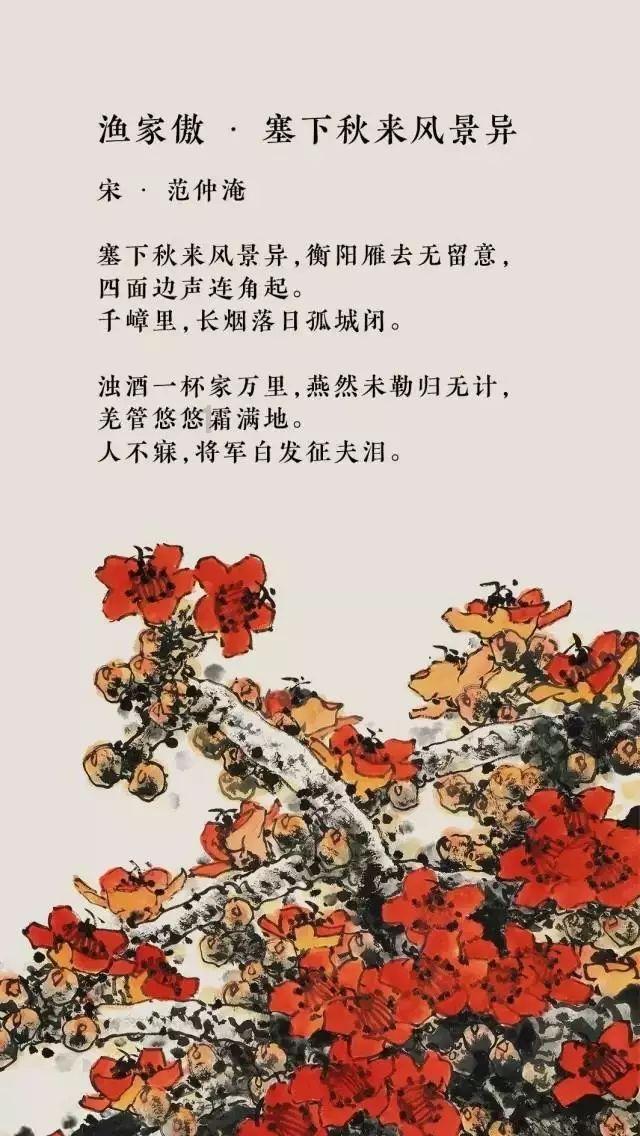 88影视
